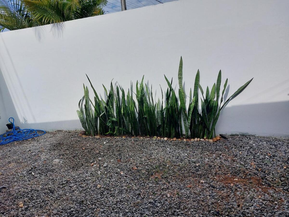 Floripa Surf Garden * Florianopolis