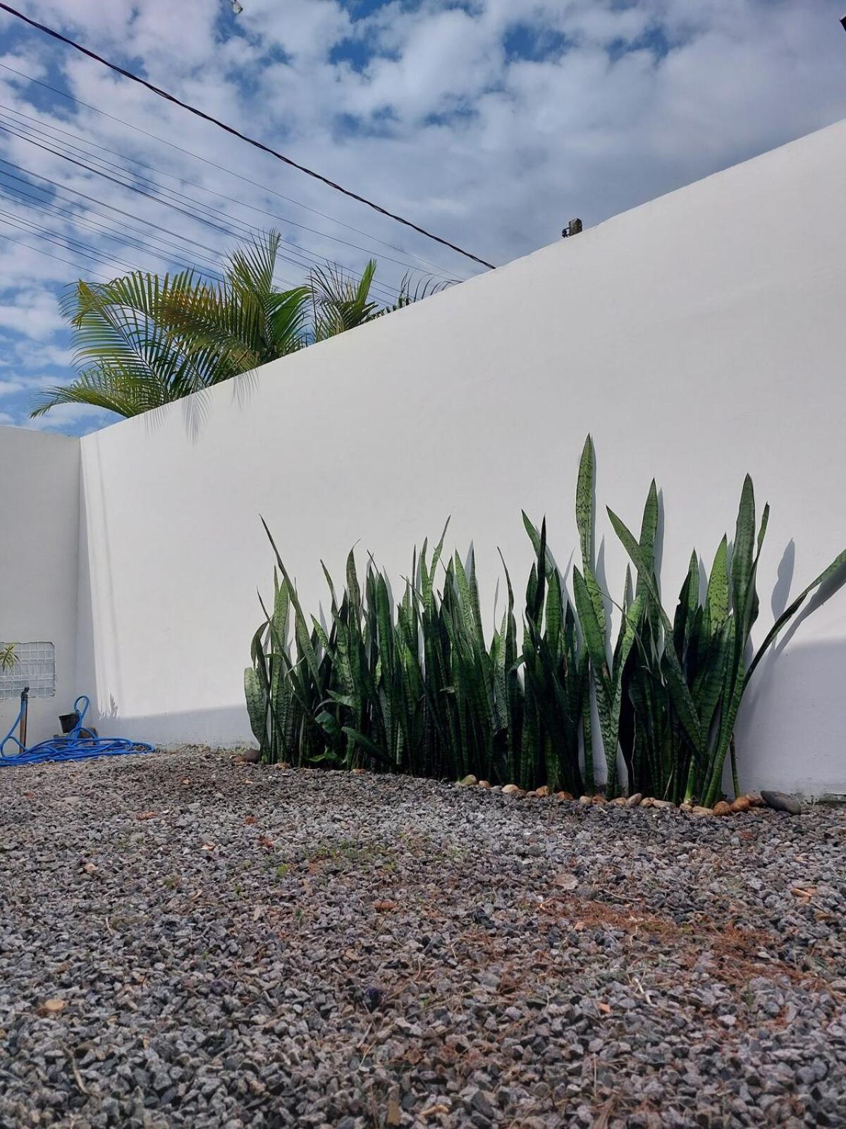 Floripa Surf Garden Florianopolis